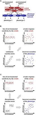 Developmental Plasticity and Robustness of a Nematode Mouth-Form Polyphenism